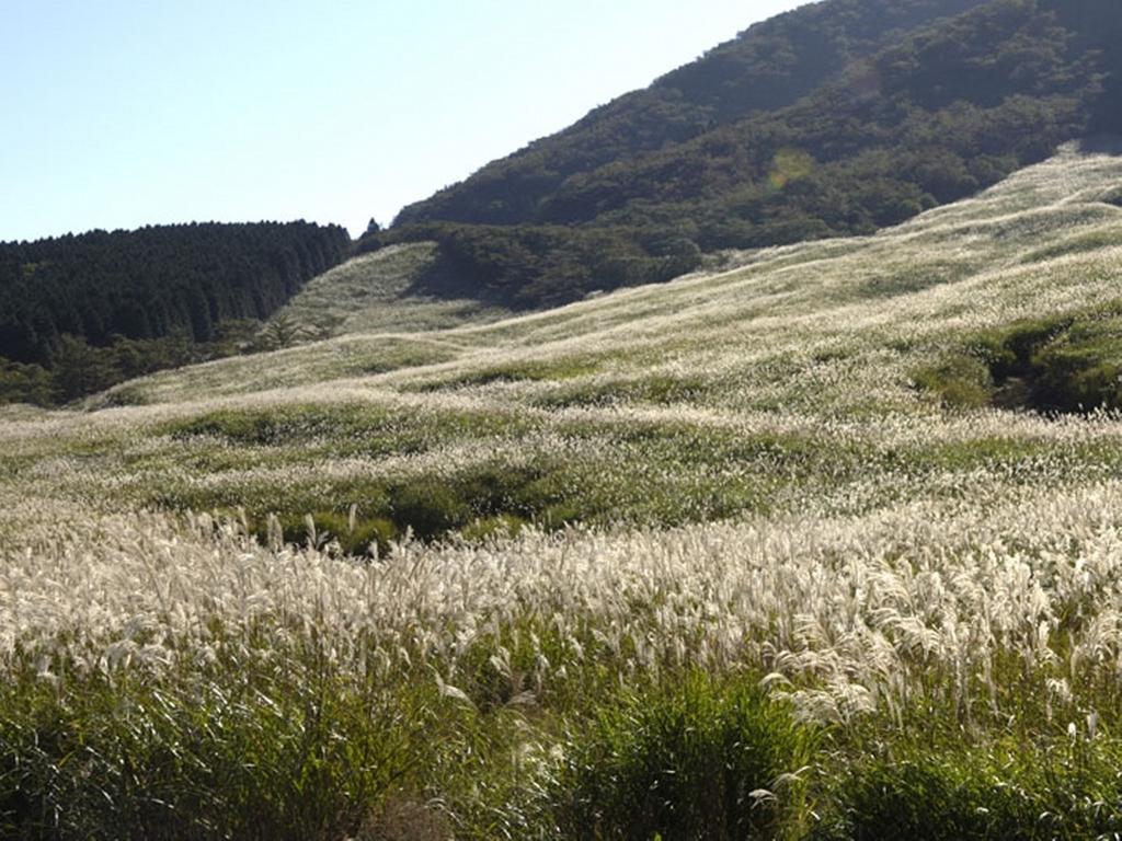 Gora Hanaougi Hakone Exterior foto