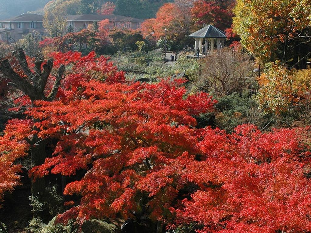 Gora Hanaougi Hakone Exterior foto