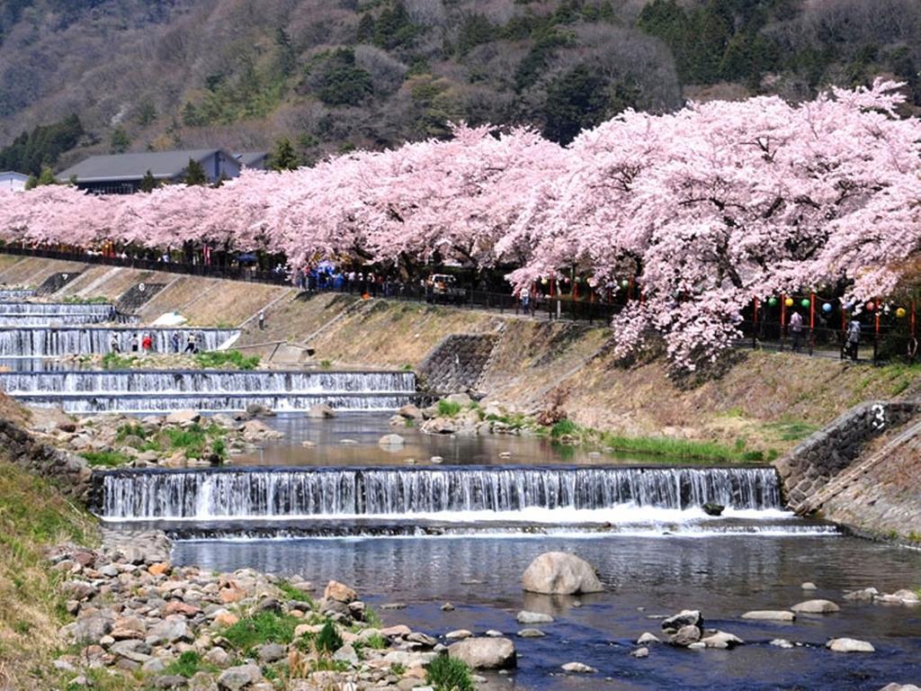 Gora Hanaougi Hakone Exterior foto